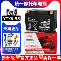YTX9-BS Moto battery Suzuki DLGWGSX250 cruise track chase after 600 yellow dragon 600 soup shallow battery