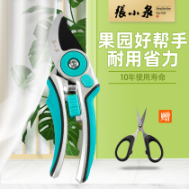 Zhang Xiaoquan Pruning shears Garden tools Cut fruit trees thin fruit greening Gardening floral art repair flower pruning scissors Pruning scissors