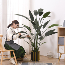 Nordic Emulation Tiantang Birds Fake Flowers Potted Plants Light Lavish Bonsai Green Planting Decorative anti-real plant Banana Fake Trees