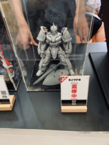 Zero Non-Intelligent Manufacturing 1100 Guardian of the Sky Plastic Assembly Model with Complete Skeleton First Acceptance