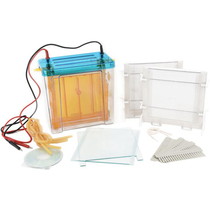 Beijing Liuyi DYCZ-24F Double Vertical Electrophoresis Large Protein Gel Electrophoresis Second Direction