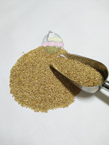 Ghanas Lions 500 gr Canary White Spike Millet Suitable for hu pi Peony Xuanfeng Jinqing hibiscus