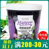 Haitel fruit meat sauce blueberry flavor fresh shake fruit drink juice fried yogurt smoothie milk tea shop raw materials commercial