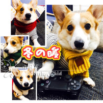Small B cub 2 pieces of pet scarf concave styling handsome Han version 4 color optional kirkefa bucket bagel