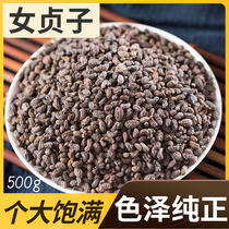 Xun Baicao wild Privet medicine Chinese herbal medicine Privet tea powder Mens female Zhenzi making tea Non-Tong Ren Tang