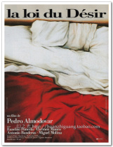 The Law of Desire Almodóvar Movie Poster Art Film Decorative Painting