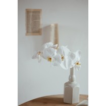 ins Nordic now decorations Morandi color vase decoration