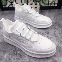 Small white shoes mens board shoes heightening summer money white soft-bottom men casual shoes sub Korean version elastic leather mens shoes