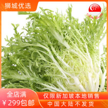 (Vegetable) Bitter 500g Singapore local shipment