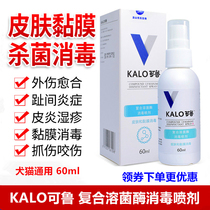 Pet Dog Dog Pussy Puppy Dog Toes Inflammation of Toes Inflammation of Toes Inflammation and Inflammation Of the Inflammation Of The Skin Infection