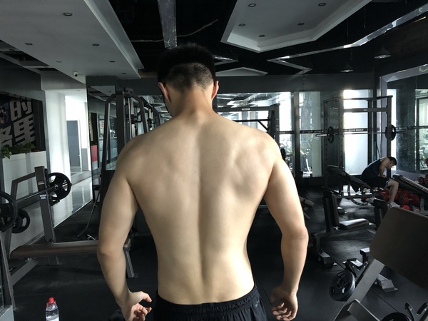 初吉乳清蛋白棒代餐饱腹0低无糖精零食品卡粉脂肪能量饼干健身