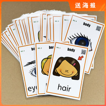 Body parts English words flashcards 28 Zhang English plastic packaging cards Baby Early teaching Enlightenment teachers Wall paste teaching aids