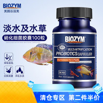 Bainimei nitrifying bacteria capsule Fish tank Aerobic bacteria Digestive bacteria Water purification bacteria Aquarium supplies Stable water quality