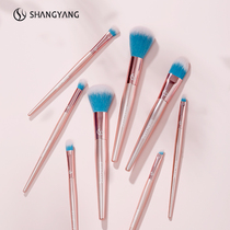Makeup brush suit eye shadow brush powder bottom bulk powder Cosmetic Brush Knife Vanguard Brushed Blush Dot Color Brushed Soft Hair A tool