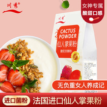 Sichuan Show France Cactus Fruit Powder Yoghurt Fermented Bacteria Probiotic Home Yogurt Machine Homemade Lactic Acid Bacteria Milk Powder