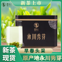 Yunsheng Yongchuan Xiuya 2021 new tea early spring green tea Chongqing specialty tea can cold tea black jar 100g