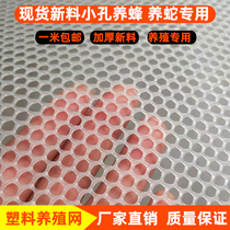 Beekeeping net Plastic flat net Brood breeding net Chicken duck goose mat net snake plastic mesh Balcony protective net