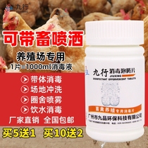 Veterinary disinfectant bai du sha farm veterinary disinfectant glutaraldehyde pig to cattle and sheep in a chicken coop disinfectant non-blast