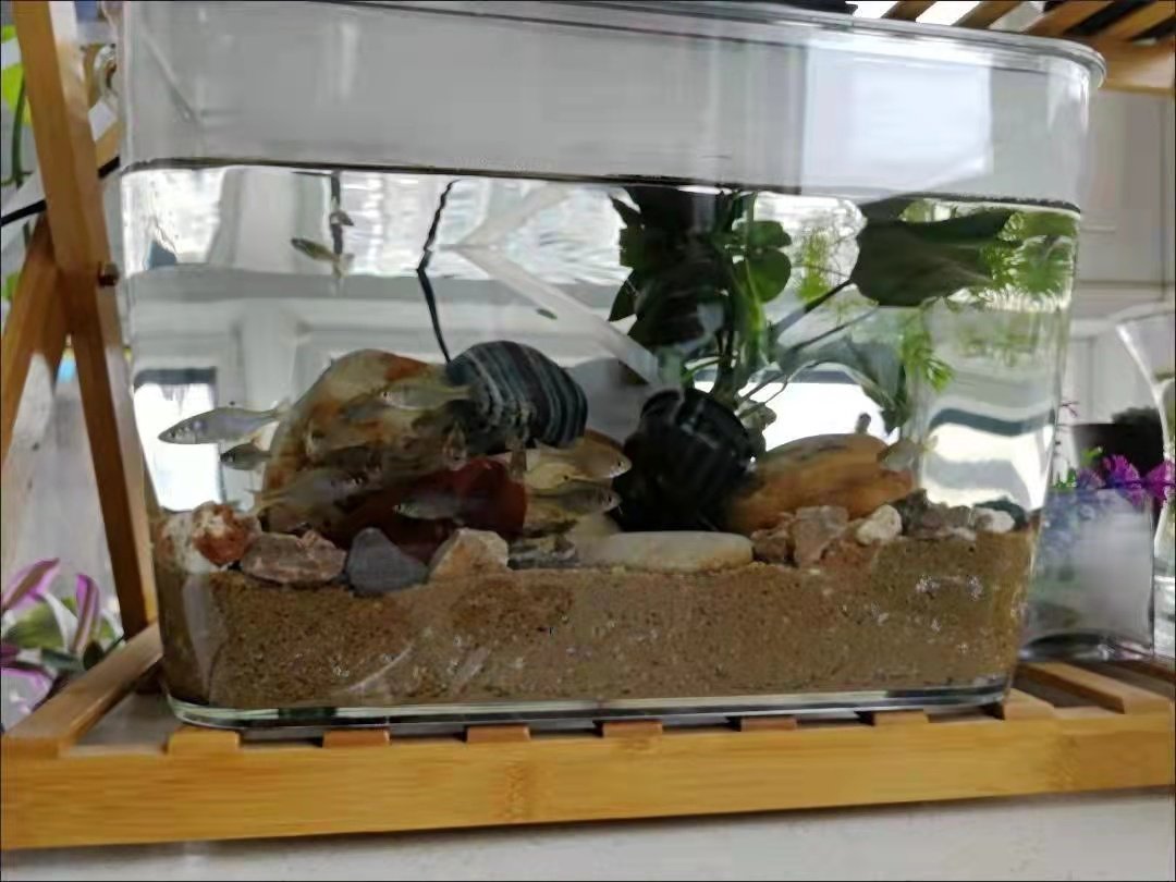 超亚克力龟缸白鱼缸客厅家用长方形水族箱乌中小型透明造景金鱼缸