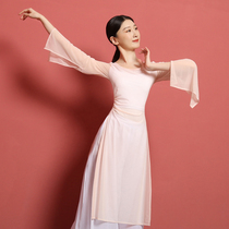 Classical Dance Dress Flutter and Dress Rehearse for Gongfeng Chinese Dance Costume Performance Out of the Jacket Open Fork Spring