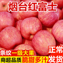 Yantai Red Fuji Apple Qixia Fruit 10 Crisp Sweet Jin Shandong Seasonal with Box Fresh Whole Box of Pingfruit