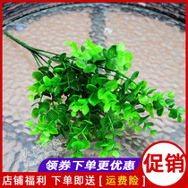 Simulation Yugali Flower Fake Flower Plastic Dried Flowers Money Leaf Green Plant Potted 7 Fork Family Residence Decoration Pendulum Flowers