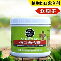 Tree plant wound healing mixture horticultural seedlings antiseptic rotten family sealing agent stump bonsai