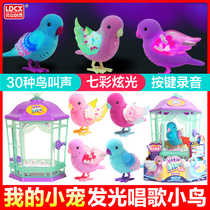 Lingdong Creative Genuine My Little Pet Toy Glowing Singing Bird My Dream Puppy Husky Golden Retriever