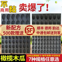 Commercial non-stick cake mold 18 21 32 with olive papaya without water crispy skin shredded pumpkin glutinous rice jujube cake