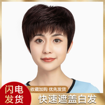 Wig short hair lady middle-aged and elderly full head set of real hair silk short straight hair all true natural mother real hair hair set
