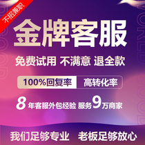 Customer Service Outsourcing Manual Tmall Taobao Pingduo Fast Hand Online Store Pre-sale and after-sales All-day Custody Service