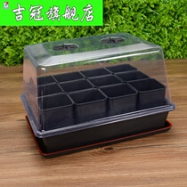 Alice S5 nursery plate Alice IRIS succulent plant leaf insert combination basin rectangular nursery box with tray