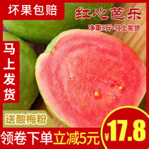 Taiwan red guava guava fruit fresh 10 guava sweet crispy Pearl guava fruit 5kg