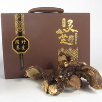 Long white Mountain Lucid Lucid natural growth of red lucid Lingzhi wild growth of Lingzhi Northeast China special production to lead the elders
