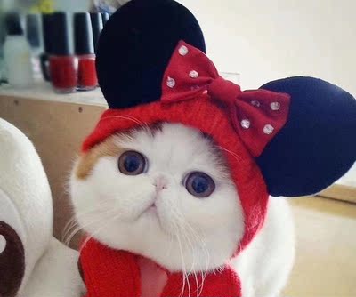 内衣收到了，自己拍错颜色了，幸亏店家有运费险帮我换了一下，邮回来还发的顺丰哦，给卖家点个赞