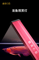 RAME fish tank light led waterproof lighting super bright Aquarium diving small aquatic grass lamp full spectrum