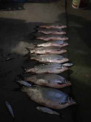 评测点评佳钓尼鱼竿有哪些系列，哪款型号比较好的？老司机说说！