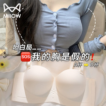 Cat Cartoon Chest without marks External Enlargement Underwear womens small breasts Gathered Big Without Shoulder Strap Non-slip No Steel Ring Summer Bra