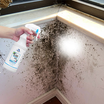 2 bottles of wall mildew remover Non-toxic indoor wall wall mildew spot removal Household wall ceiling remover