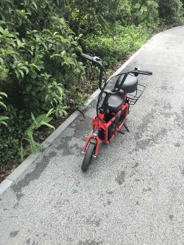 飞道FIIDO亲子电动车说下感受