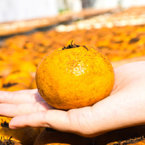 Authentic Xinyi 2013 Nine-made Chenpi Puer Tea Leaf Big Red Orange Pu-ripe Tea 30g Raw Shallow Tasting