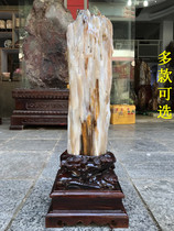 Burmese tree jade ornaments ice species pure natural raw stone wood fossils Silicified Wood stone ornamental stone living room ornaments