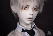 bjd sd doll 3 points doll Co with 50CM body doll