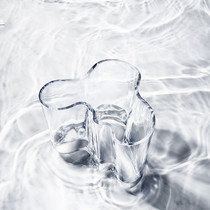 Finland Iittala Itala legendary lake hand-blown imported glass dried flowers simple creative flower arrangement bottle