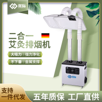 (2-in-1) moxibustion purifier smoke exhaust machine smoke soldering tin welding smoke air purifying purifying system mobile home