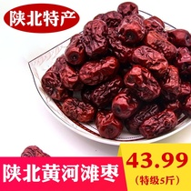 Northern Shaanxi jujube Shaanxi Suide specialty red jujube whole box jujube farm self-produced Yellow River Beach beach jujube Special five Jin