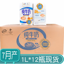 June production of Yili pure milk sterile brick full-fat sterilized milk 1L one liter 12 boxes of breakfast