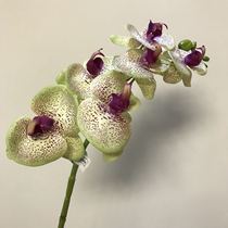 Silk High Quality Export Single-branch Butterfly Orchid Household Simulation Flower Simulation Flower Simulation