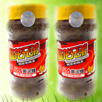 Ningbo seafood gift box specialty Lu Long Brothers ready-to-eat 5A yellow mud snails Fresh drunk mud snails King big sand-free 600g