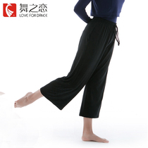 Modern dance clothing wide-leg pants suit dance clothing Female adult classical dance clothing Chinese dance body practice clothing Autumn